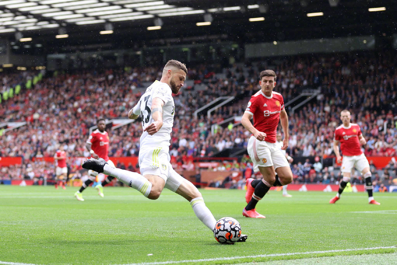 塔与狼队情 塔与狼队情