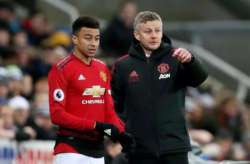 竞相引入优 竞相引入优